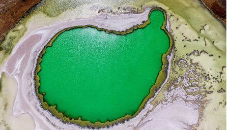 緑の湖の写真