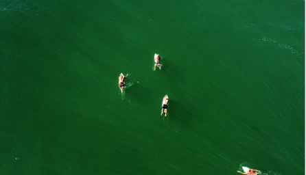 緑の海の上をサーフボードで泳ぐ人々の写真